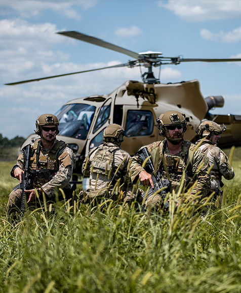 Peltor protective hearing